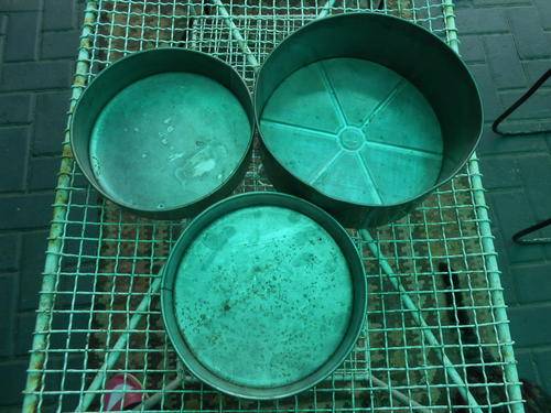 Vintage round cake/baking tins